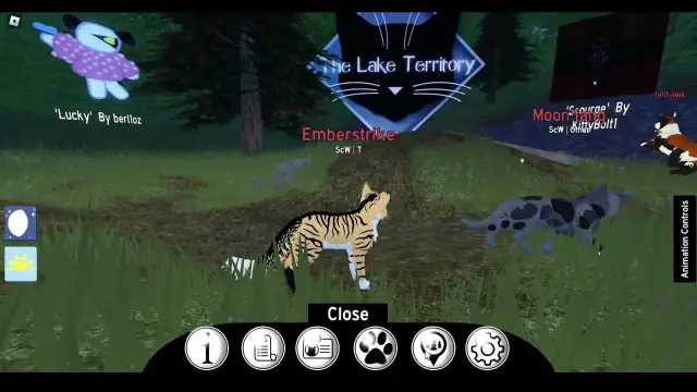 Warrior Cats Lake Territory Roleplay Guide: Rules & Morphs